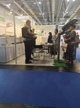 triển lãm trưng bày